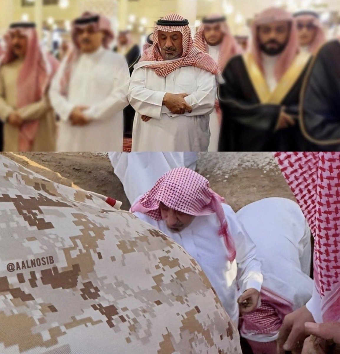 شيهانة أجا tweet media