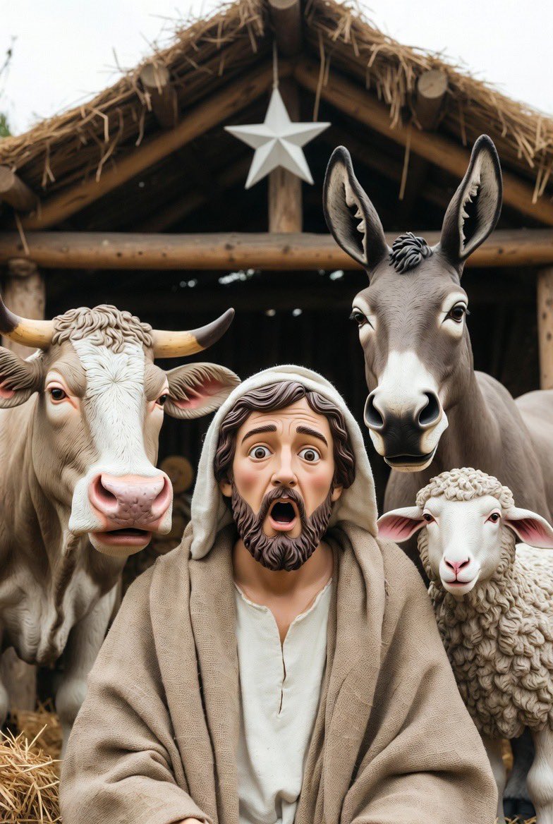 Procto_Log's tweet image. 