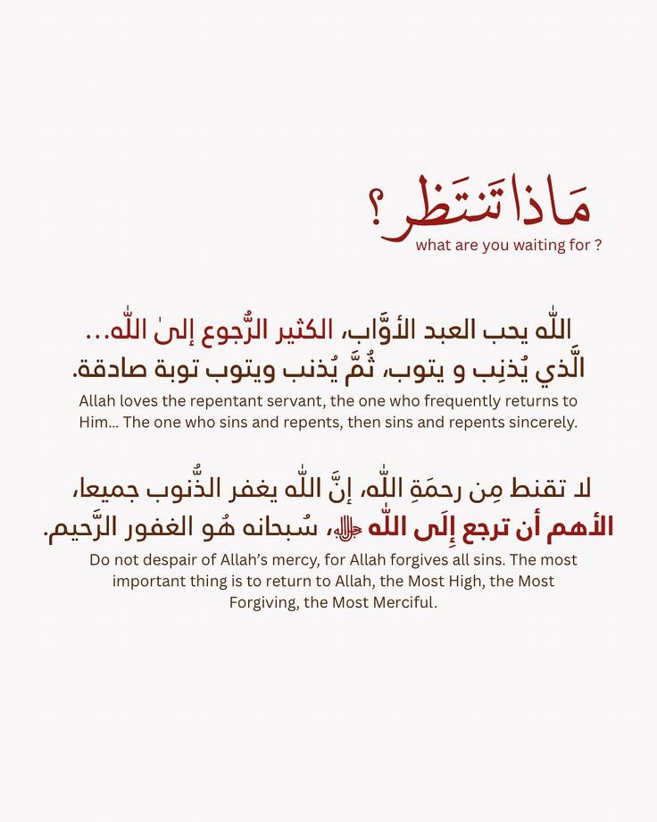 سَكَن (@s1121423) on Twitter photo 