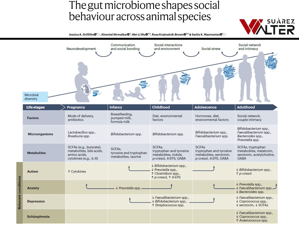 a_fisiolog57853's tweet image. CÓMO LA MICROBIOTA INTESTINAL MODULA EL COMPORTAMIENTO SOCIAL EN LAS DISTINTAS ESPECIES ANIMALES

¡¡¡A leer, zagales!!!

waltersport.com/investigacione…