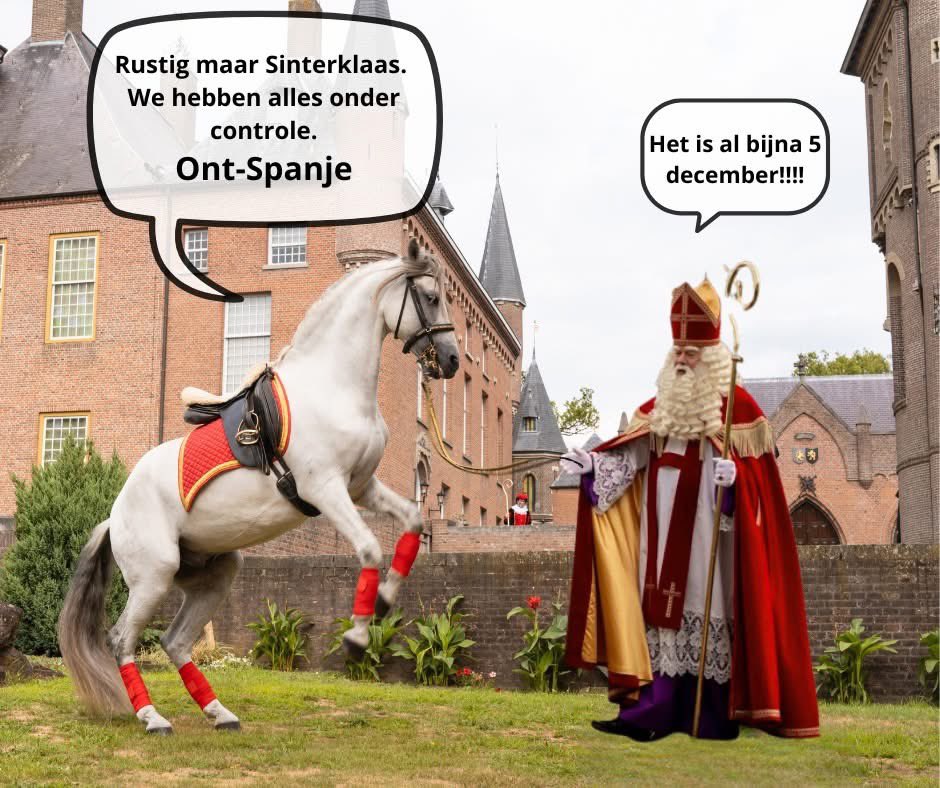 OZOSNEL.NL tweet media