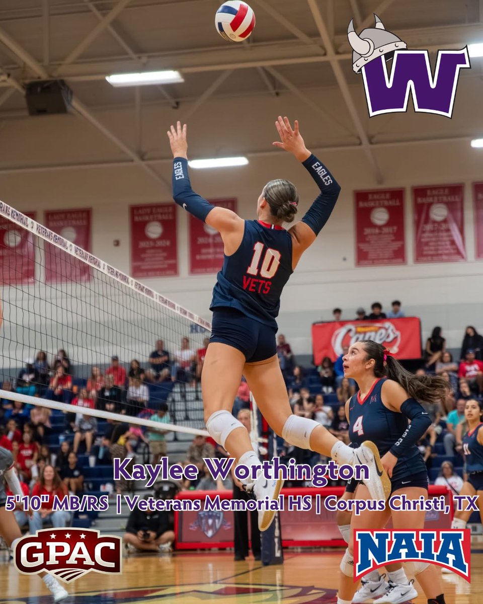 Waldorf Volleyball tweet media