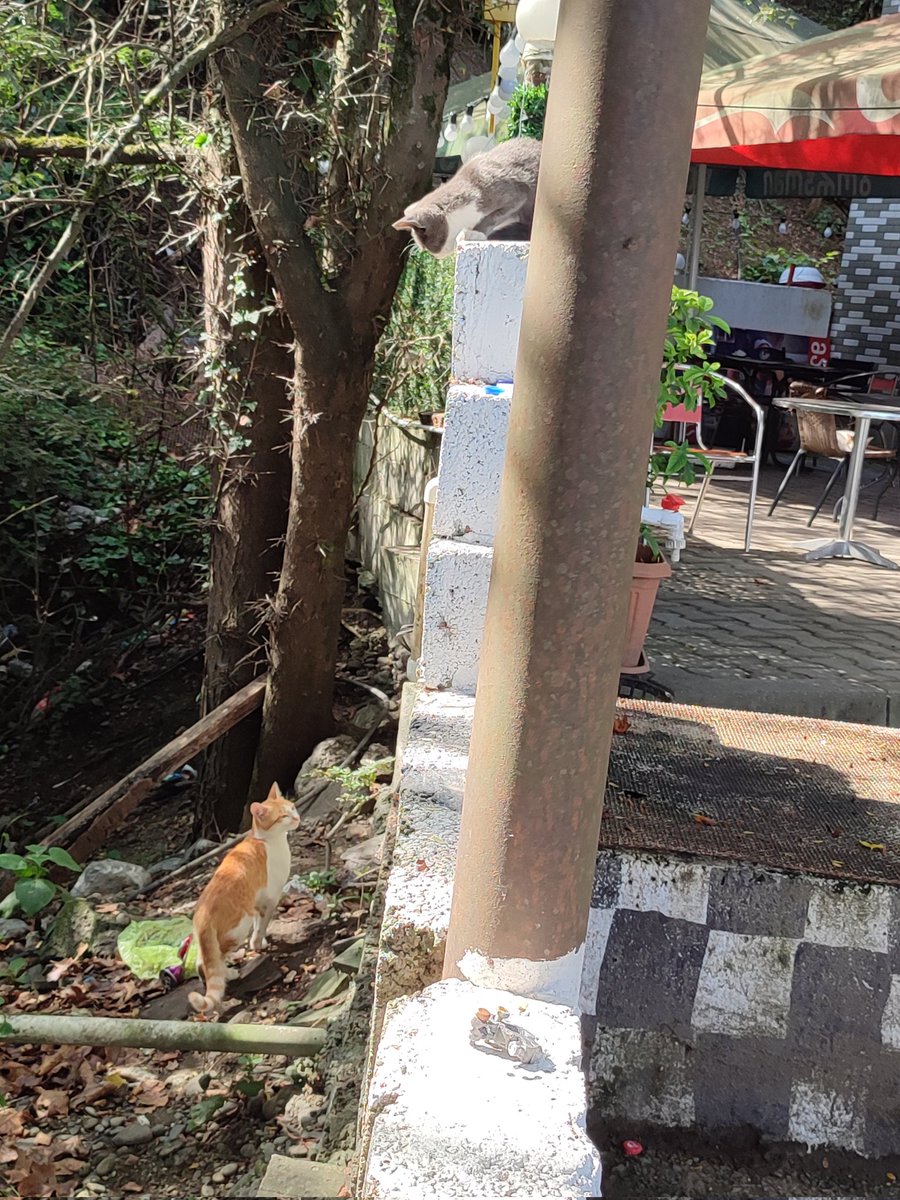 Neye bakıyor bu dedim🥹