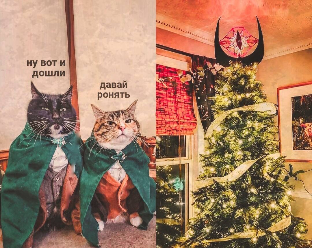 Пьяный Твиттер (@drunktwi) on Twitter photo 