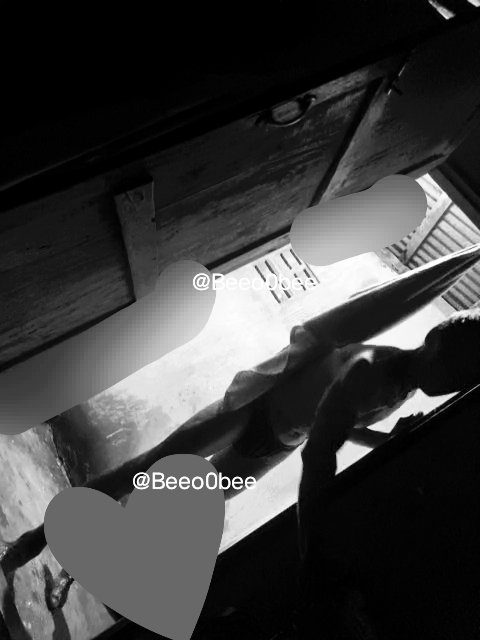 Bee and Real Daddy56 🇹🇭 tweet media