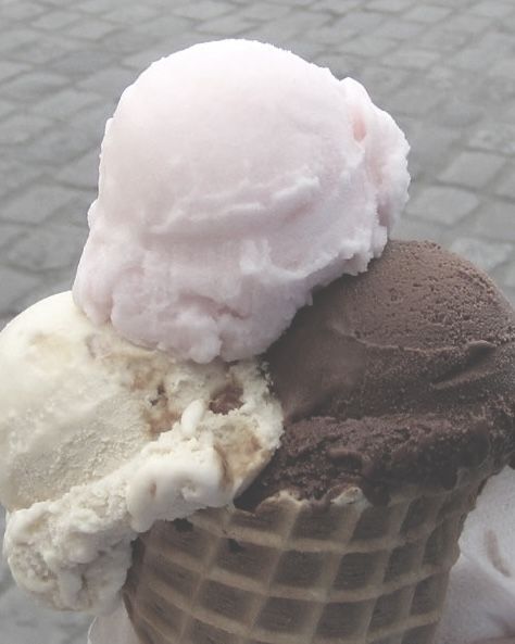 dnp are here to deliver treats to <a href="/hamostrich/">jenna</a> !

"  hi jenna! just wanna say ur really funny and cool and pretty and i love being friends with u :D  "