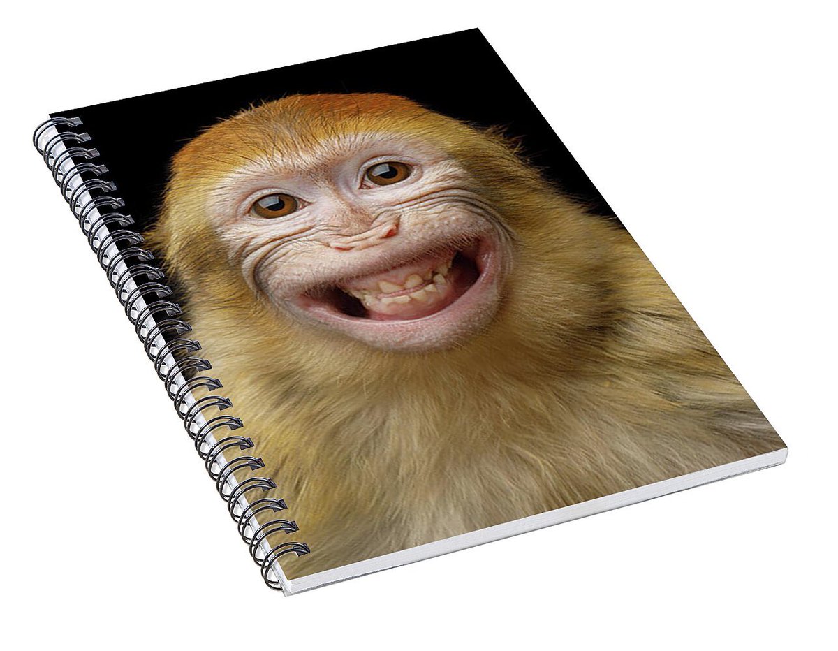 svblockz tweet media