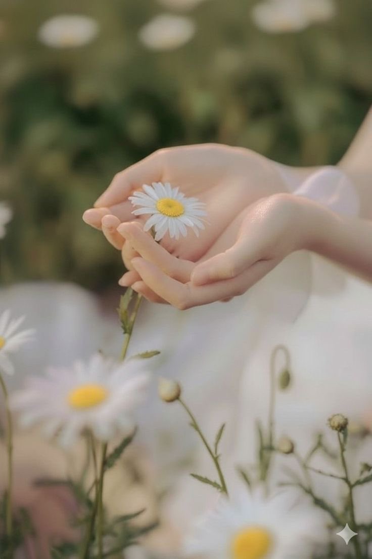 #مساييات
#مساء_الخير 

ماوُهب انسان بمكرمةٍ أحلى من رقة قلبه🤍

اللهم اجعلنا رقيقي القلوب ..طاهرين النوايا.. لا نؤذي ولا نؤذىَ