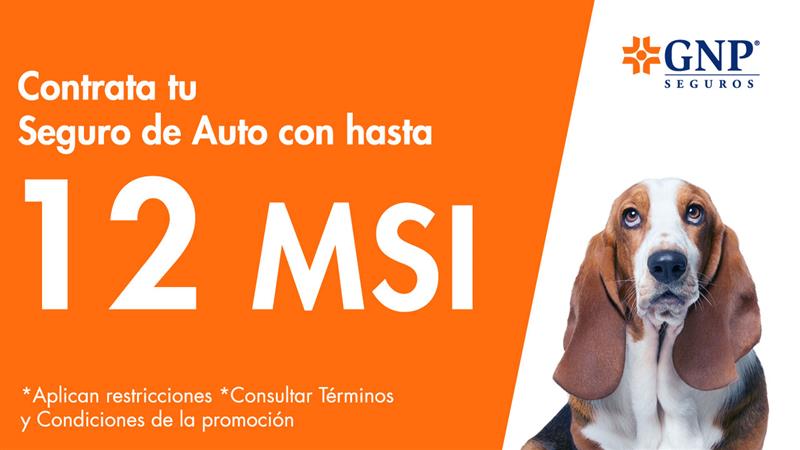 Contrata tu Seguro de Auto GNP con ayuda de Rastreator y paga con hasta 12 MSI.
Maneja con la protección que necesitas.
Válido del 01 al 07 de diciembre de 2025. #RastreatorMX #GuauGuau 👉🚗 rastreator.mx

#SeguroDeAuto #Cotizador #ComparadorDeSeguros