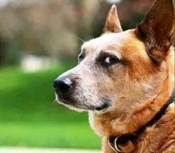Why do Nigerians sell drugs? What's with their mindset, upbringing, culture or history that makes them always go for this pathway? People don't just do things, there are drivers, epigenetics, transgenerational push factors that make people end up there. What pushes Nigerians?