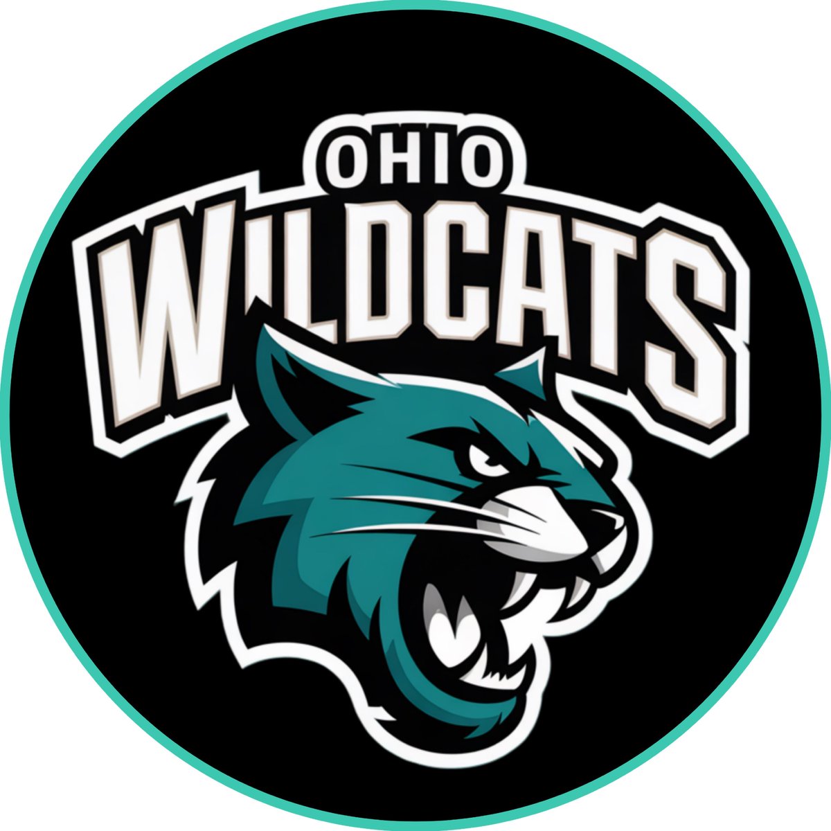 DfuzeGamingWV's tweet image. The 𝐎𝐇𝐈𝐎 𝐖𝐈𝐋𝐃𝐂𝐀𝐓𝐒 have 𝒔𝒑𝒂𝒘𝒏𝒆𝒅 𝒊𝒏!

#DGL2026 // #RiseAsOne