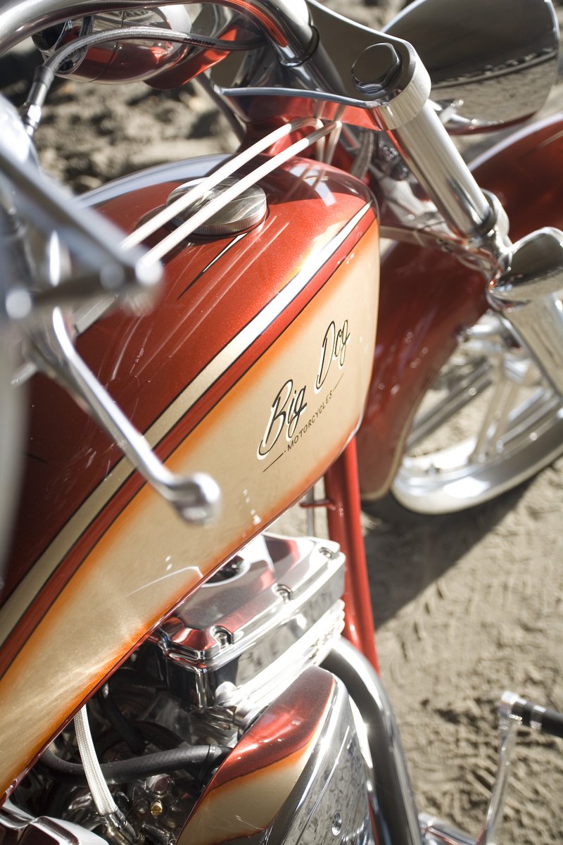 BIGDOGISBACK's tweet photo. #bigdogmotorcycles Pitbull photo shoot #vtwin #madeinUSA 🇺🇸 https://t.co/eQJHKZlDhH