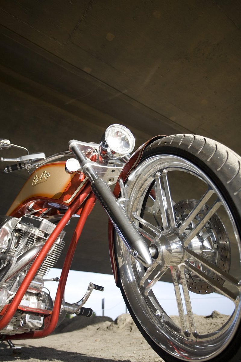 BIGDOGISBACK's tweet photo. #bigdogmotorcycles Pitbull photo shoot #vtwin #madeinUSA 🇺🇸 https://t.co/eQJHKZlDhH