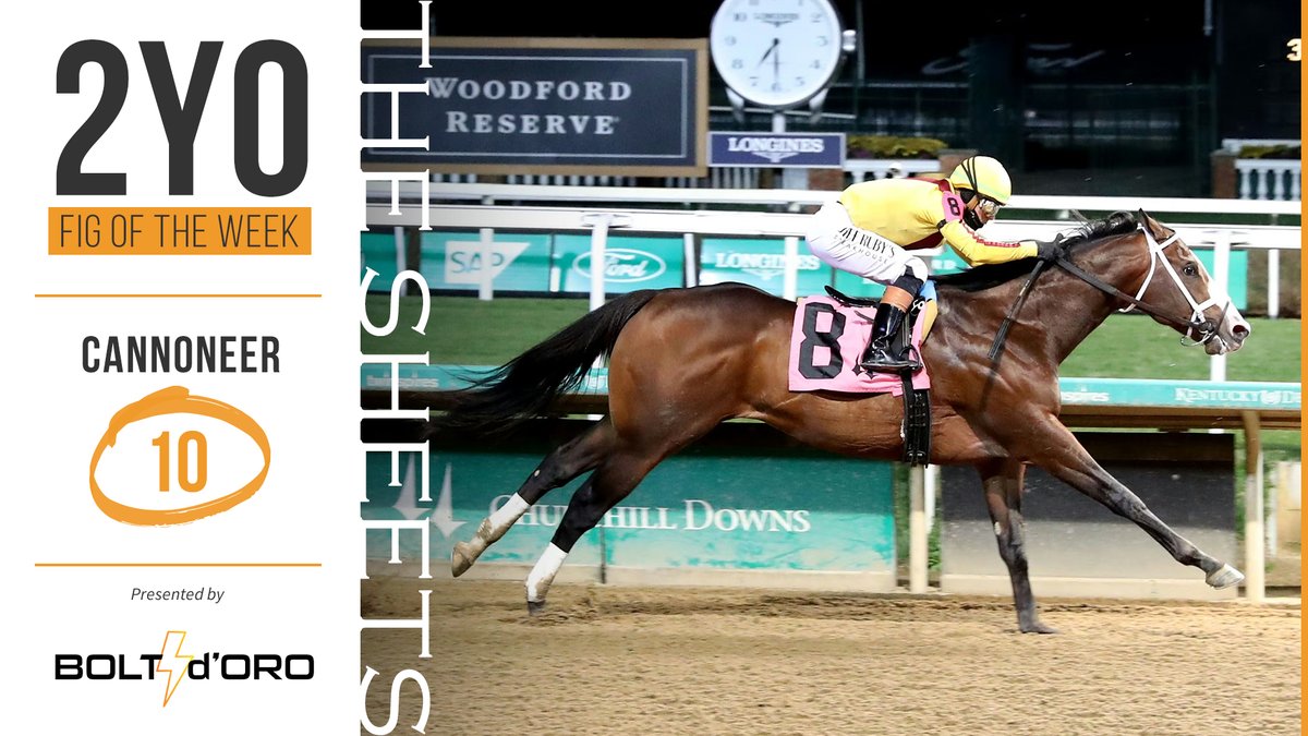 RagozinSheets's tweet photo. #2YOFigOfTheWeek, brought to you by @spendthriftfarm stallion BOLT D'ORO, is @ChurchillDowns MdSpWt winner, CANNONEER!            

📷 by @coadymediaUSA https://t.co/ncGvPZdjYz