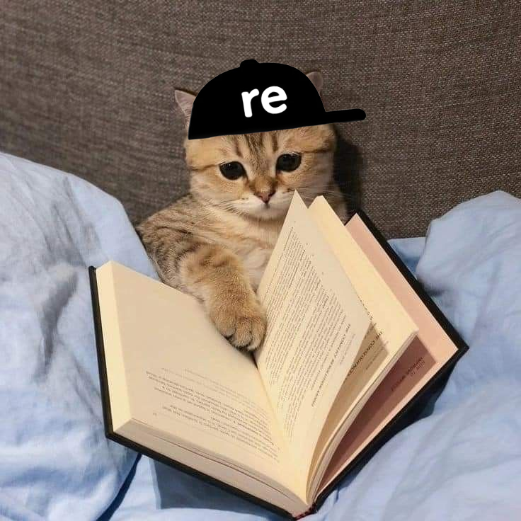 Remember how in school they used to assign you to learn words and memorize them? 

Well, your homework is to learn these words:

gRe
redacted
buffy
reinsurance
yield
reUSD
reUSDe
volatility
RWA
stable
resilience
safe harbor
tokenized risks
audited
evolution
ratio
collateral