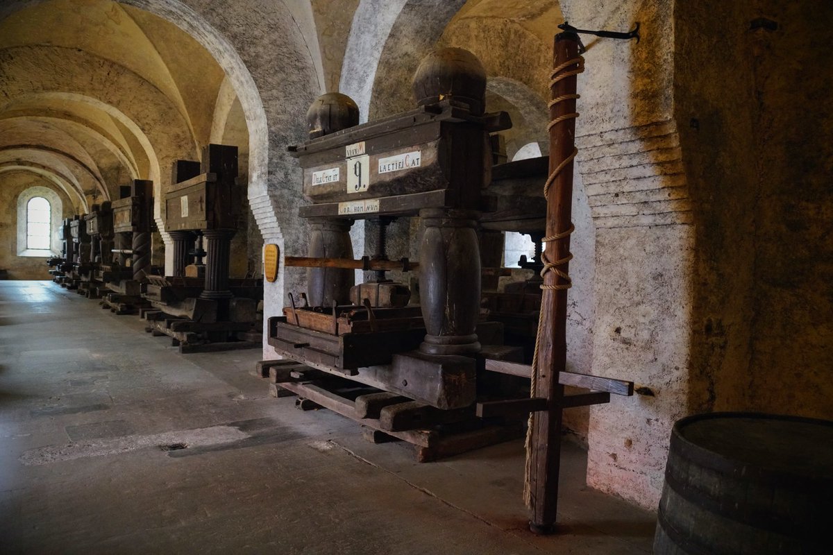 derliebeMichi's tweet photo. Kloster #Eberbach bei Eltville im Rheingau.
https://t.co/lDuavnBR7O
#Mit49EuroUmDieWelt 🤍 7/8 https://t.co/6MI6D4LD18