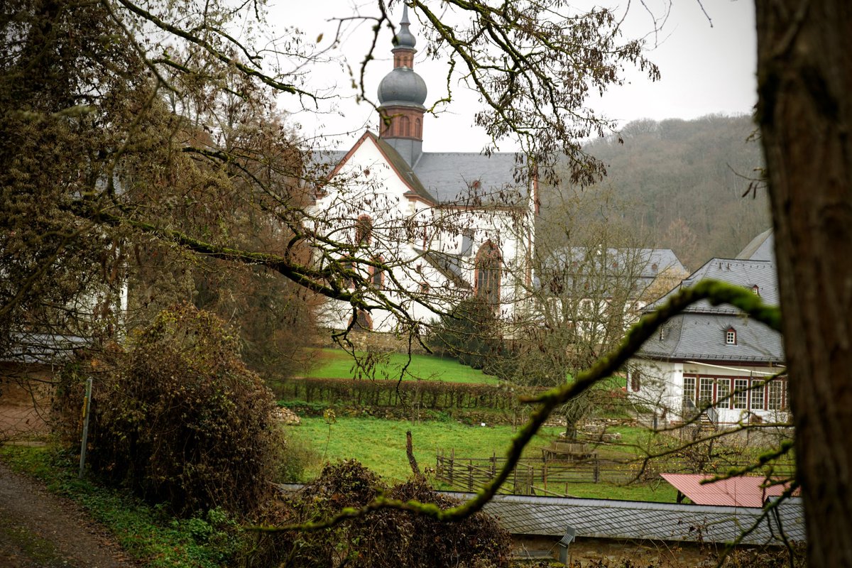 derliebeMichi's tweet photo. Kloster #Eberbach bei Eltville im Rheingau.
https://t.co/lDuavnBR7O
#Mit49EuroUmDieWelt 🤍 8/8 https://t.co/VFn0XTxQFx