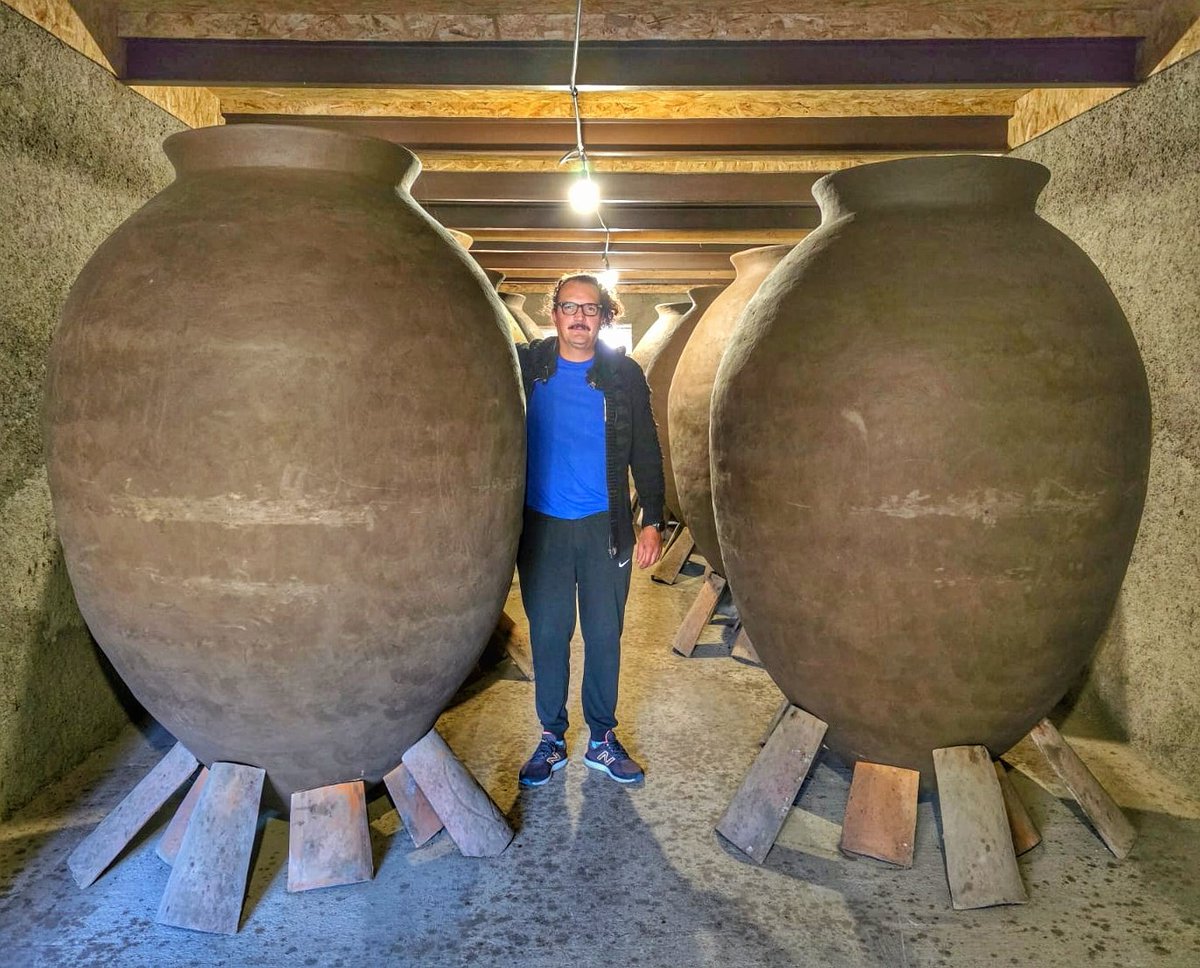 winealogue's tweet photo. Alla scoperta delle anfore Georgiane🏺🇬🇪🍷 https://t.co/v7Rj0IvDCf

#qvevri #Georgia #Kakheti https://t.co/Fgfo946lzb