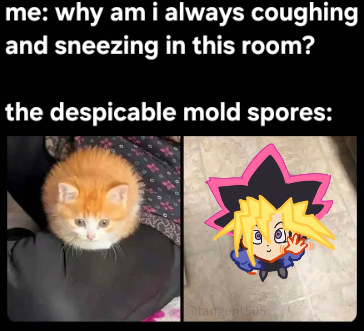 Tangent (@tangent5o5) on Twitter photo 