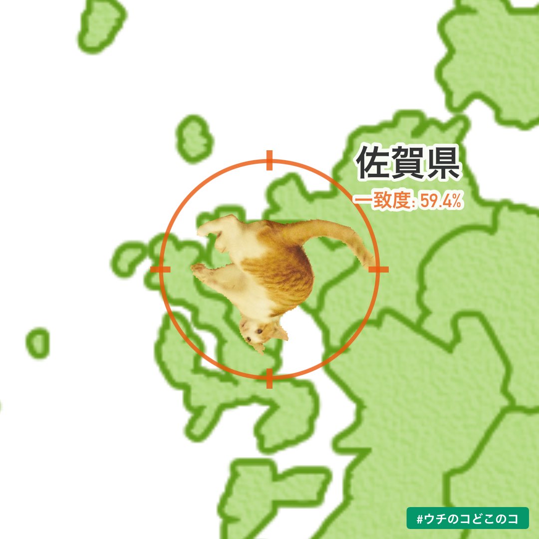 5_utopia's tweet photo. ウチのコがぴったりハマるのは…佐賀県！
#ウチのコどこのコ https://t.co/Cx19RiIbMi