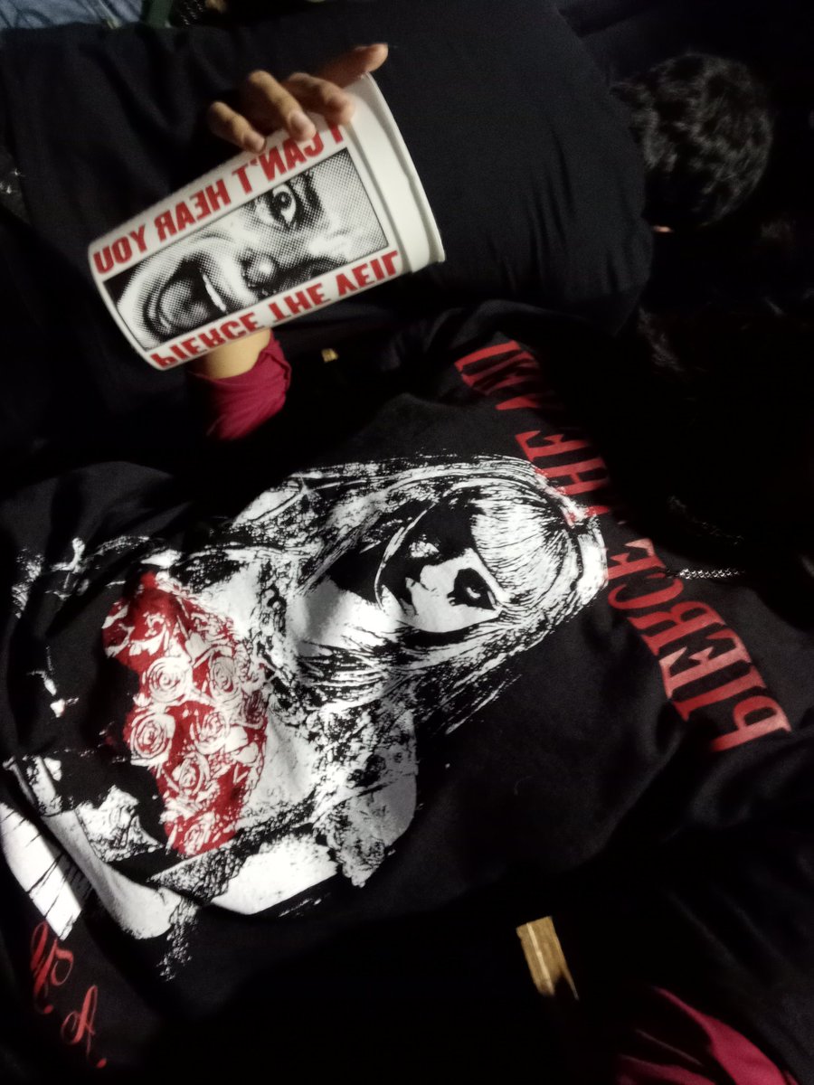 todo salió super bien, los vi bien cerquitaaa, si existennn😭 les juro q la cámara no hace justicia de lo cerca que los tenía, pude ver todas sus expresiones faciales watefak