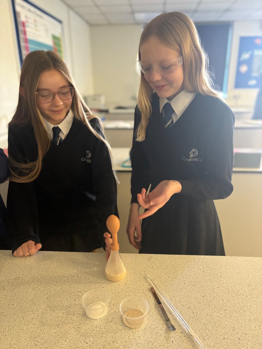 Cansfield1's tweet image. 🔬 Year 8 Getting Practical!🔬

Year 8 had a great time investigating anaerobic respiration in yeast last week, with some impressive balloon inflation to show for it! 🎈 Fantastic effort, everyone!

#CansfieldScience #HandsOnLearning #FutureScientists
