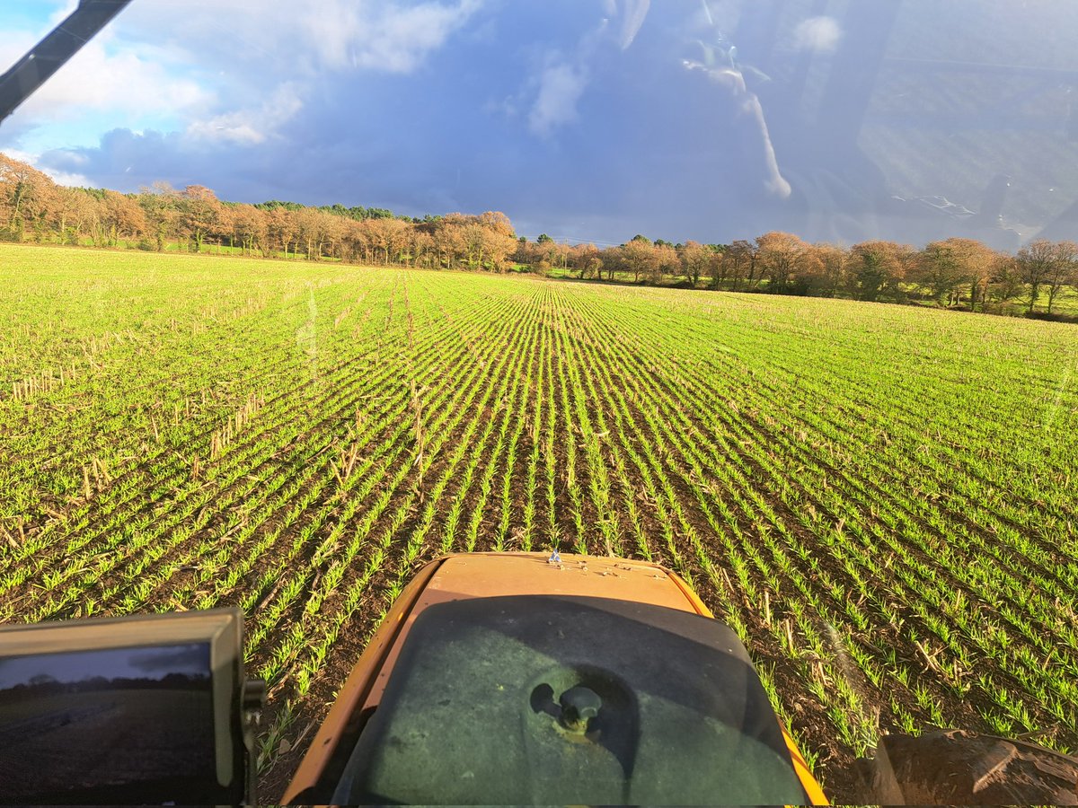 Dominique Luherne tweet media