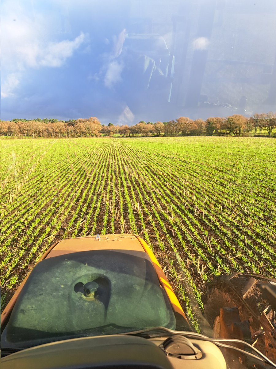 Dominique Luherne tweet media