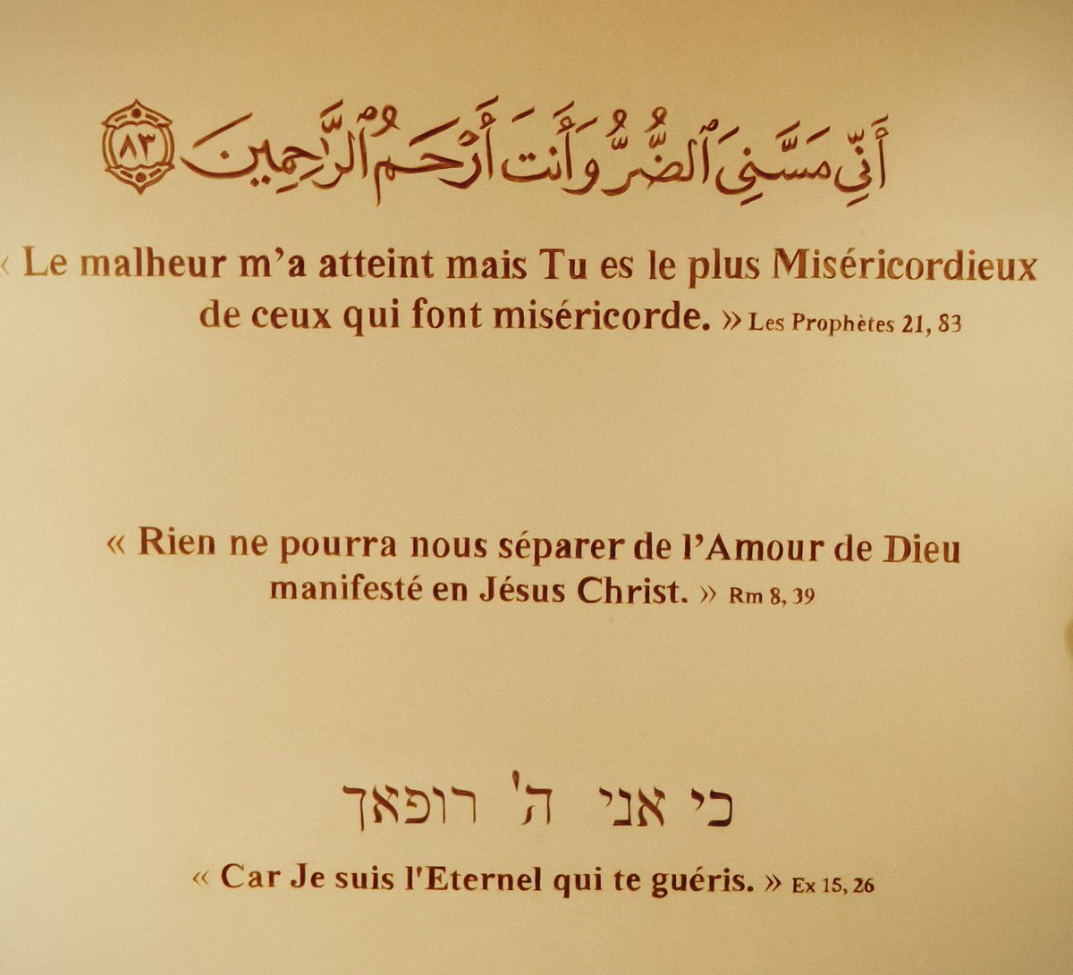 Animaprevention's tweet photo. La seule voie, le Tawhid ☝🏻 
#islam #Islamic https://t.co/fJ3DEiIj6I