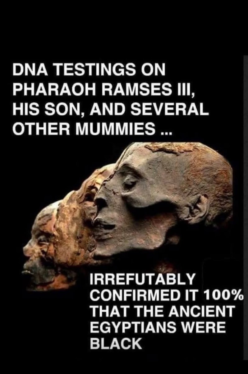 Joe__Bassey's tweet image. Despite all evidence, they still lie with a straight face.