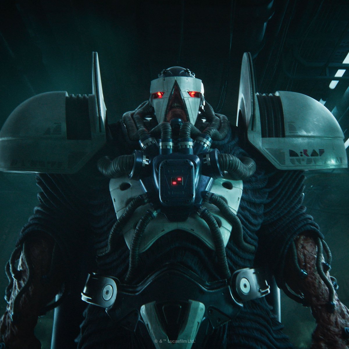 The Game Post tweet media