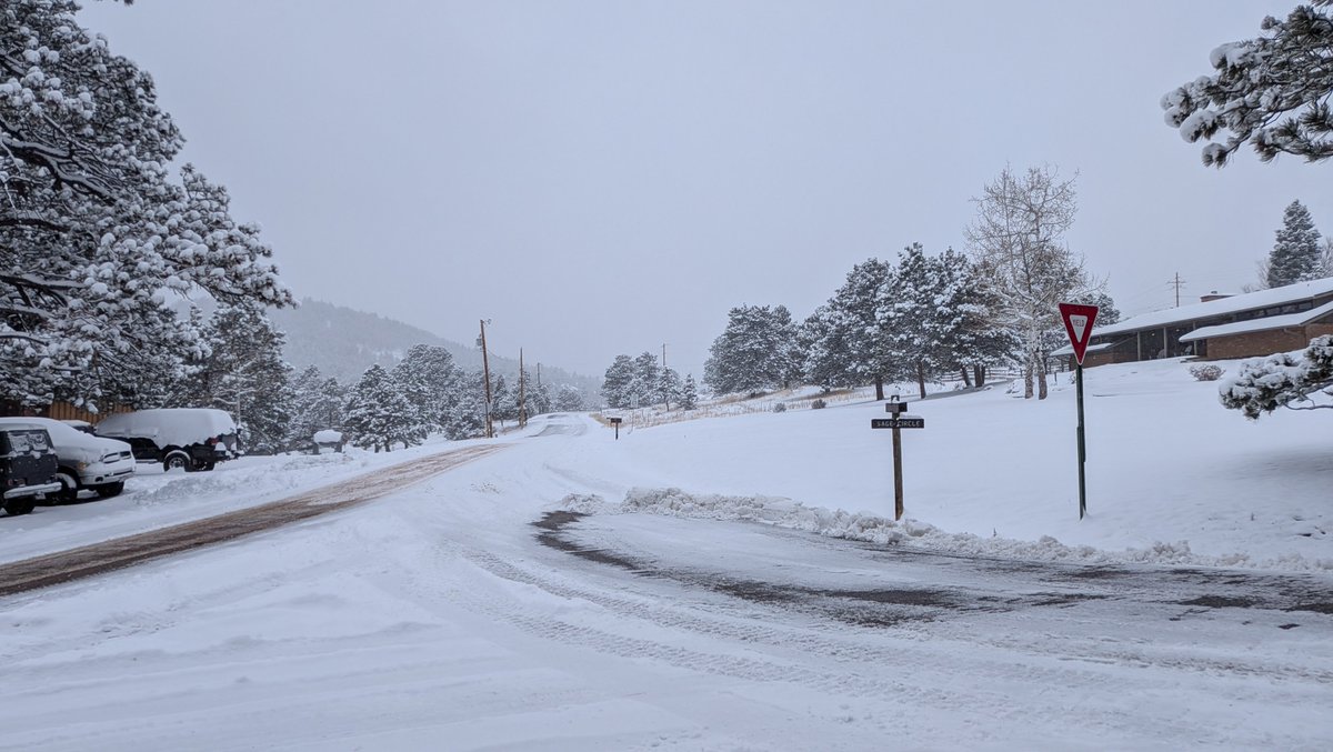 Evergreen with 6.6" of snow - so far - as of 1 PM. #cowx