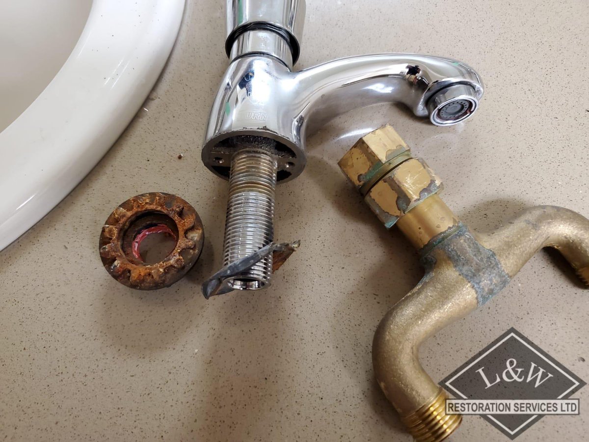 l_wrestoration's tweet image. The Fix is In! 💪

Quick replacement of a failed push tap at a busy retail location. Zero downtime means zero customer complaints.

Commercial plumbing problems solved quickly by L&amp;amp;W Restoration.

#PlumbingRepair #CommercialService #RetailFix #UrgentHandyman 𝗣𝗹𝗲𝗮𝘀𝗲
