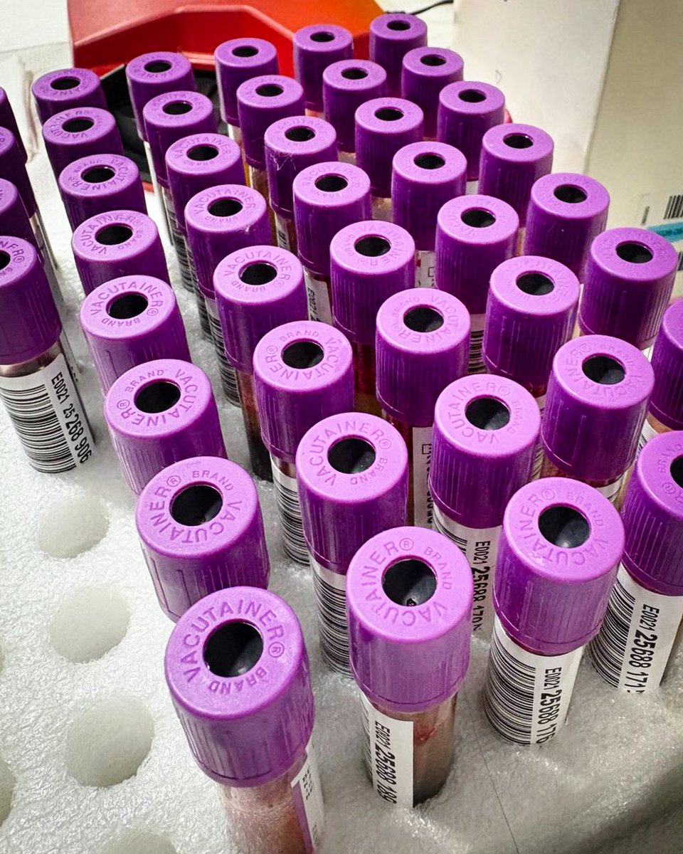 Las Cigarreras tweet media