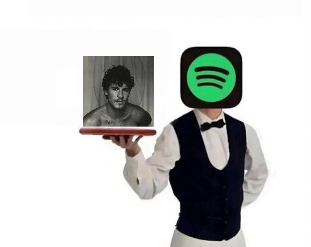 fluffyshwnn's tweet image. my wrapped every single year