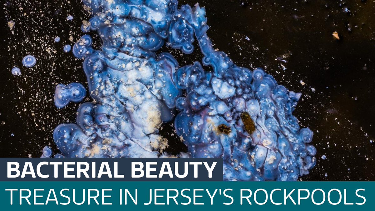 One Jersey politician has an unusual hobby that relies on an ability to find beauty in the mundane. <a href="/abby__hook/">Abby Naomi-Kay Hook</a> spent the day with Deputy Jonathan Renouf to find out about his passion for photographing the microscopic...
itv.com/watch/news/fin…