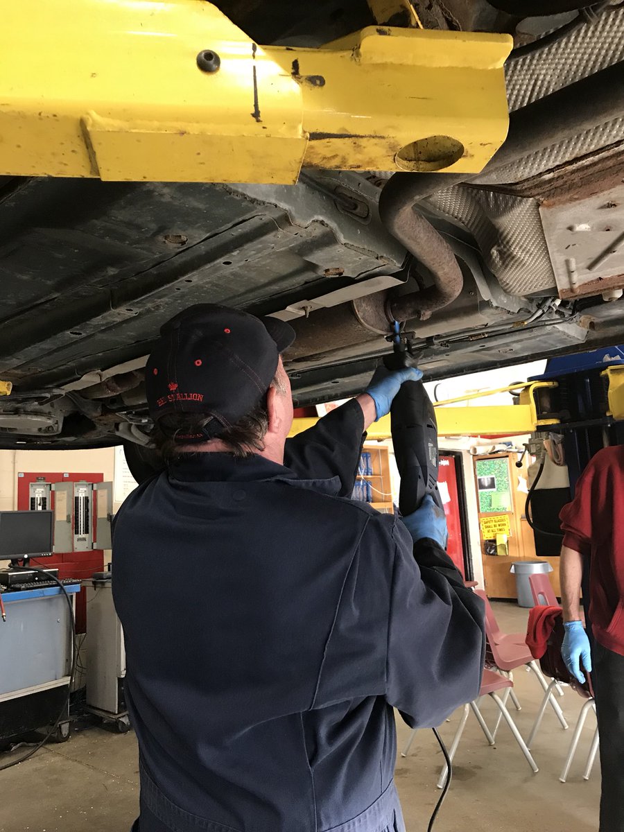 TDSB Continuing Education Department tweet media