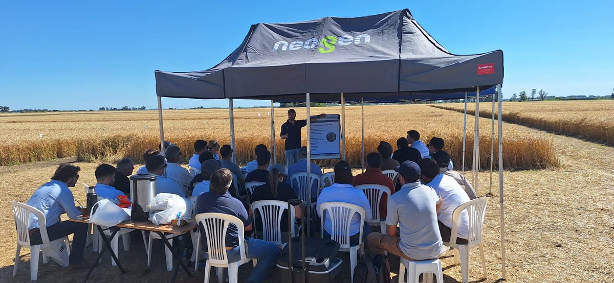 Neogen Semillas tweet media