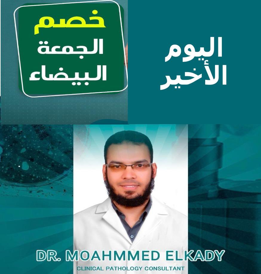 microbit Dr Mohammed Elkady tweet media