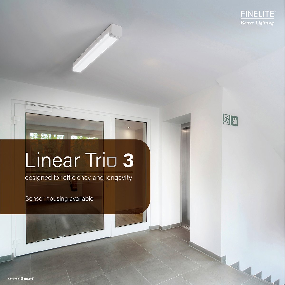 Finelite tweet media