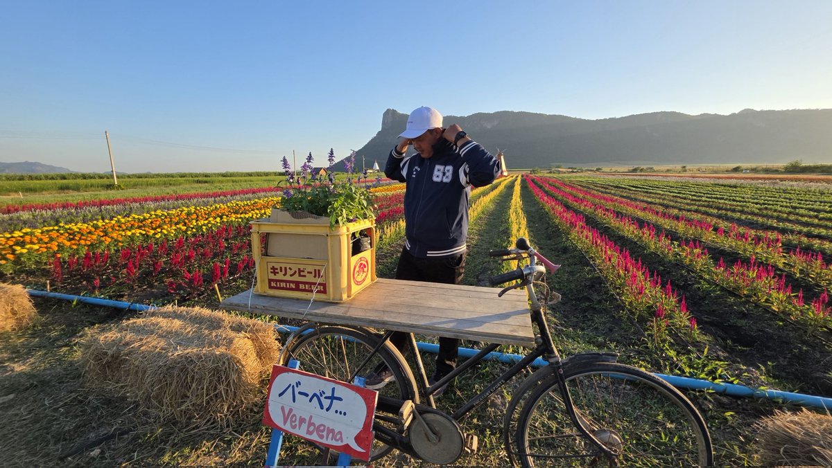 เวลาโดนถ่ายรูปจะเขินๆปกติถ่ายแต่คนอื่น🤣 
#กาญจนบุรี
#กาญจนบุรีในเมือง
#กาญจนบุรีนัดเจอ