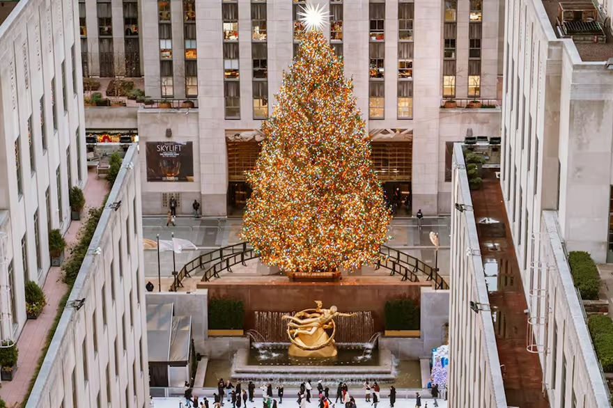 LA NACION tweet media