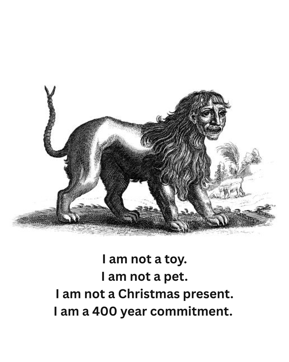 reactormag's tweet image. 