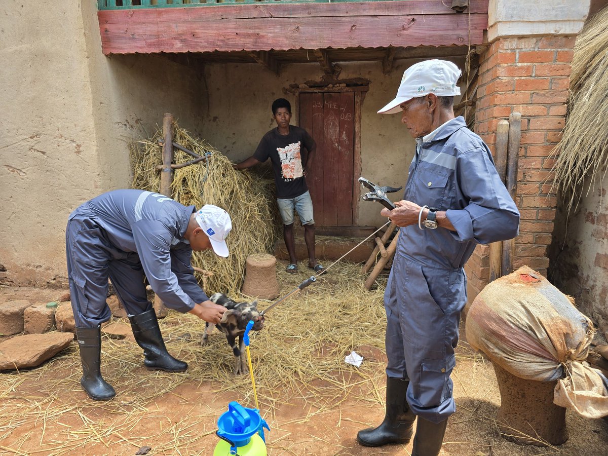 OMS Madagascar tweet media