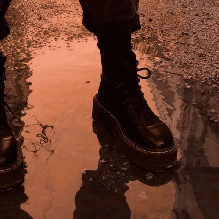 𝐕𝐈 tweet media