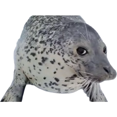 💗Strawb💗 tweet media