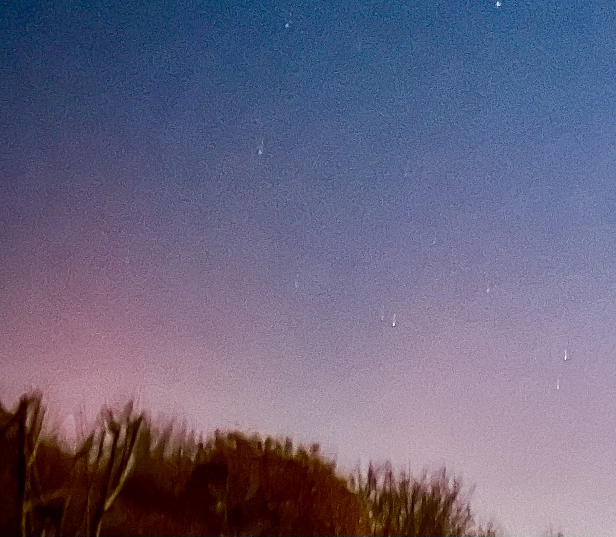 Jacquie Bridges tweet media