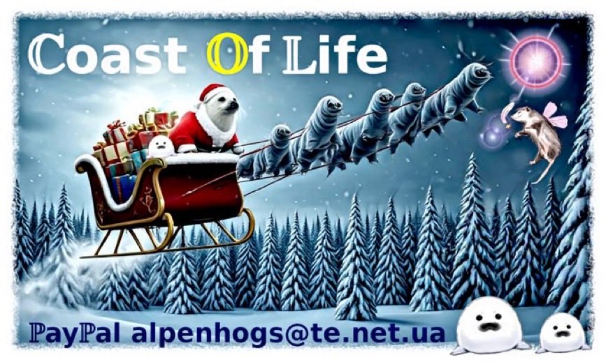 Ukrainians are Tardigrades in human form. Their resistance &amp; resilience continues to inspire the world. Tardigrade Division is hosting a new initiative for <a href="/coastoflife_od/">Coast of Life</a> 🦭Help bring light, warmth, heat, nets, muscle &amp; skin balm, mice traps &amp; more to those fighting for freedom