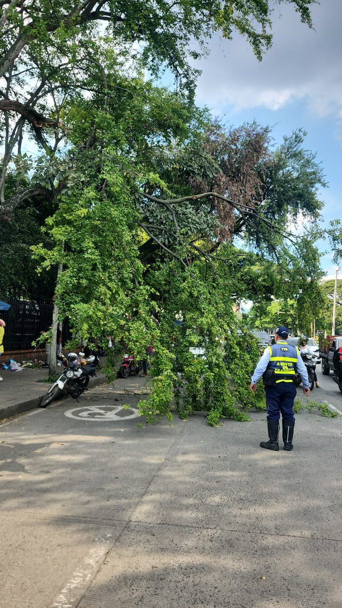 Secretaría de Movilidad de Cali tweet media