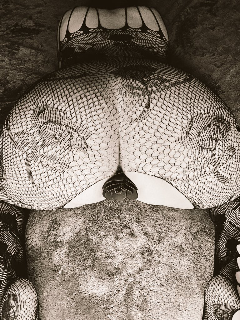 It's Wagon Wednesday ✨️